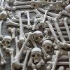 Boneyard - prop bones for feature film Eaten Alive