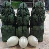 Cthulhu Statues (soft foam) and prop eggs from The Colour of Madness horror film